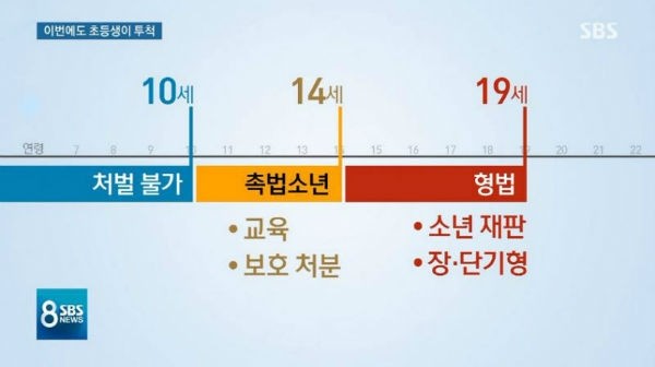 The three main categories under Juvenile law / Source: SBS 8 o'clock News